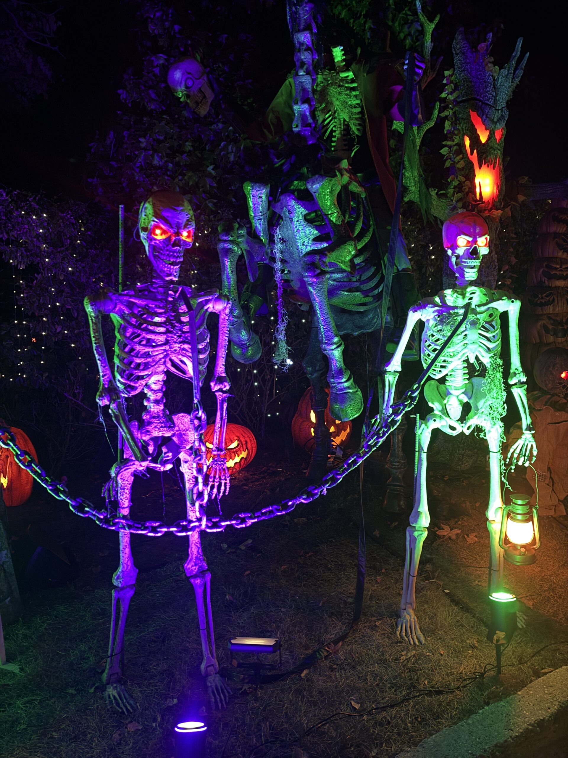 Purple- and green-lit skeletons with glowing eyes at Skullcraft Street’s 2026 display.