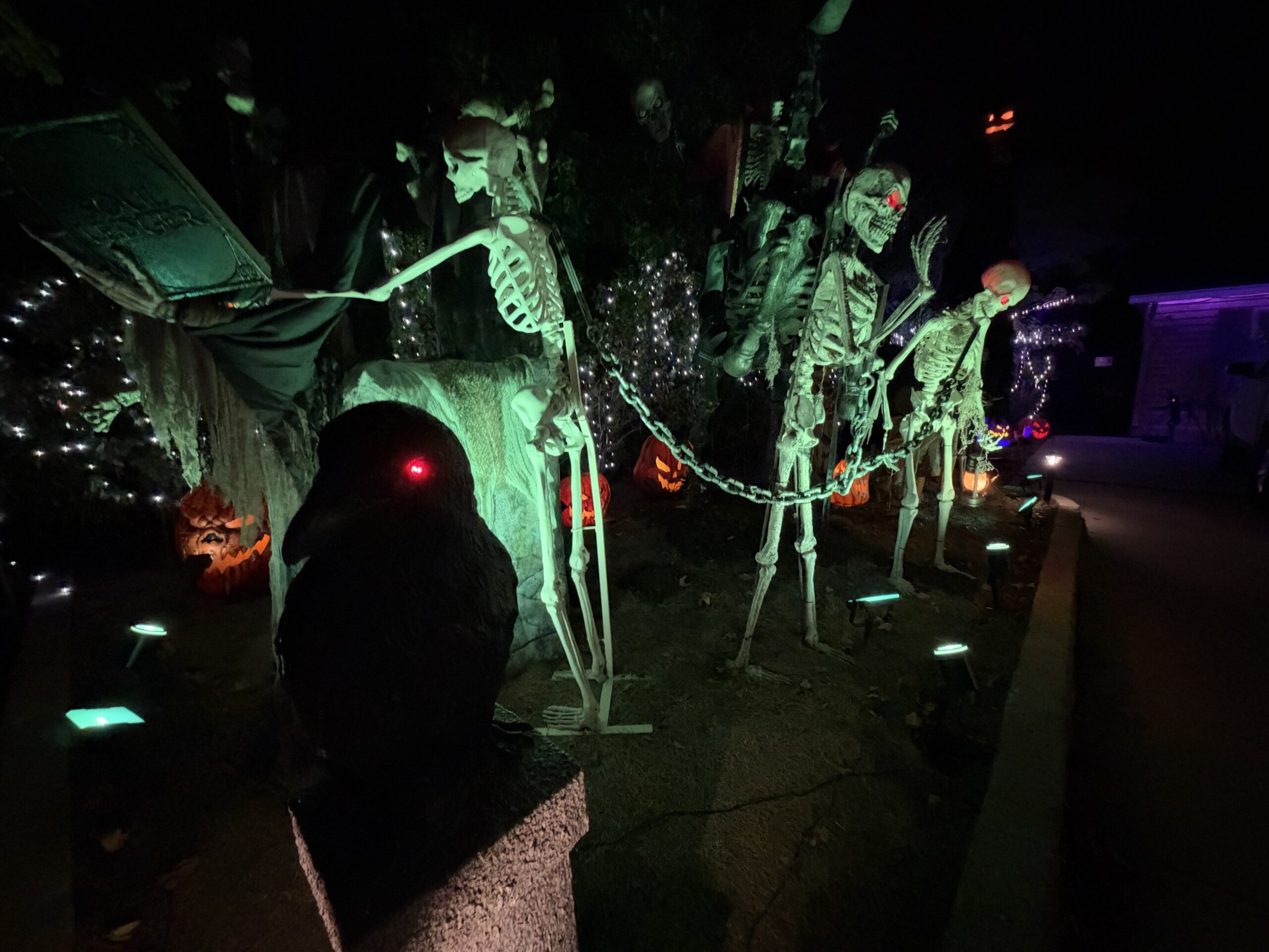 A raven in front of a row of skeletons illuminated along the front-yard display.