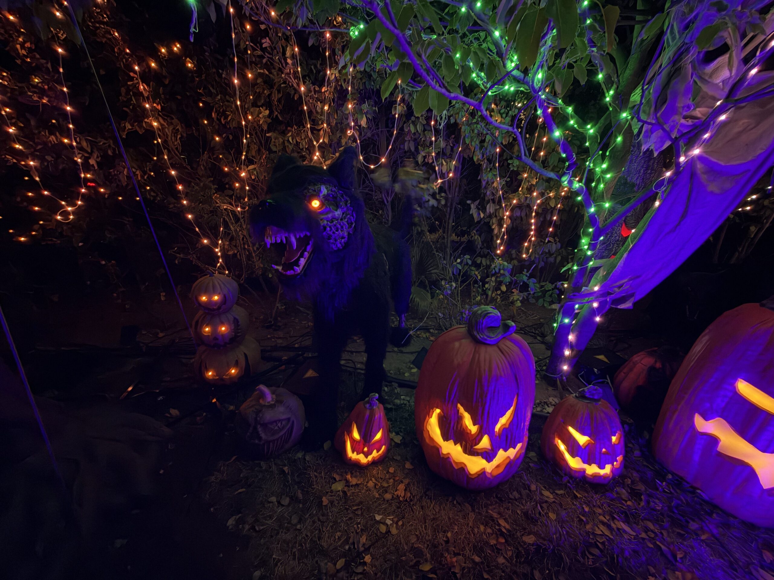 A snarling monster dog surrounded by glowing jack-o’-lanterns and string lights.
