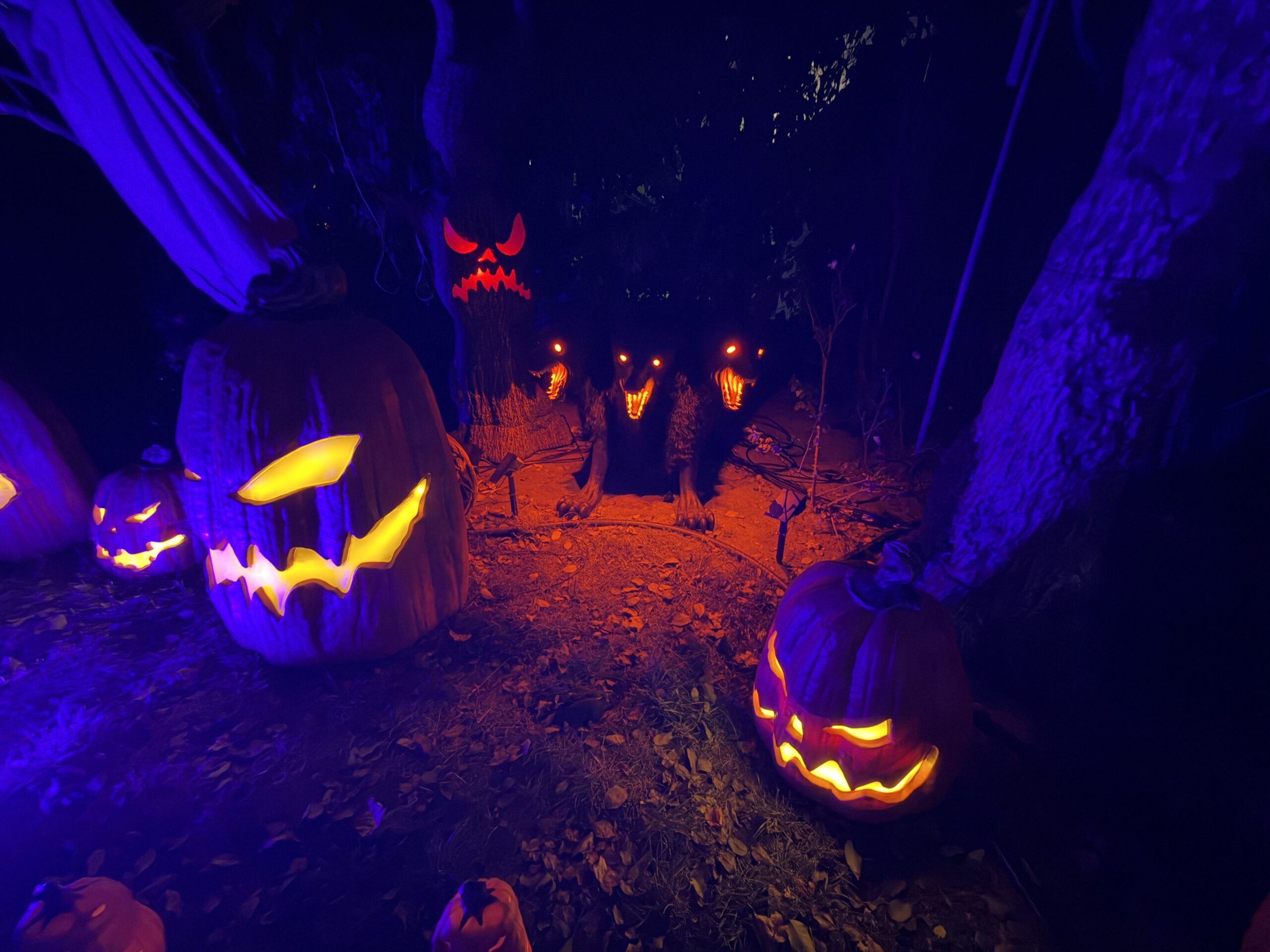 A three-headed hound among glowing pumpkins under purple theatrical lighting.
