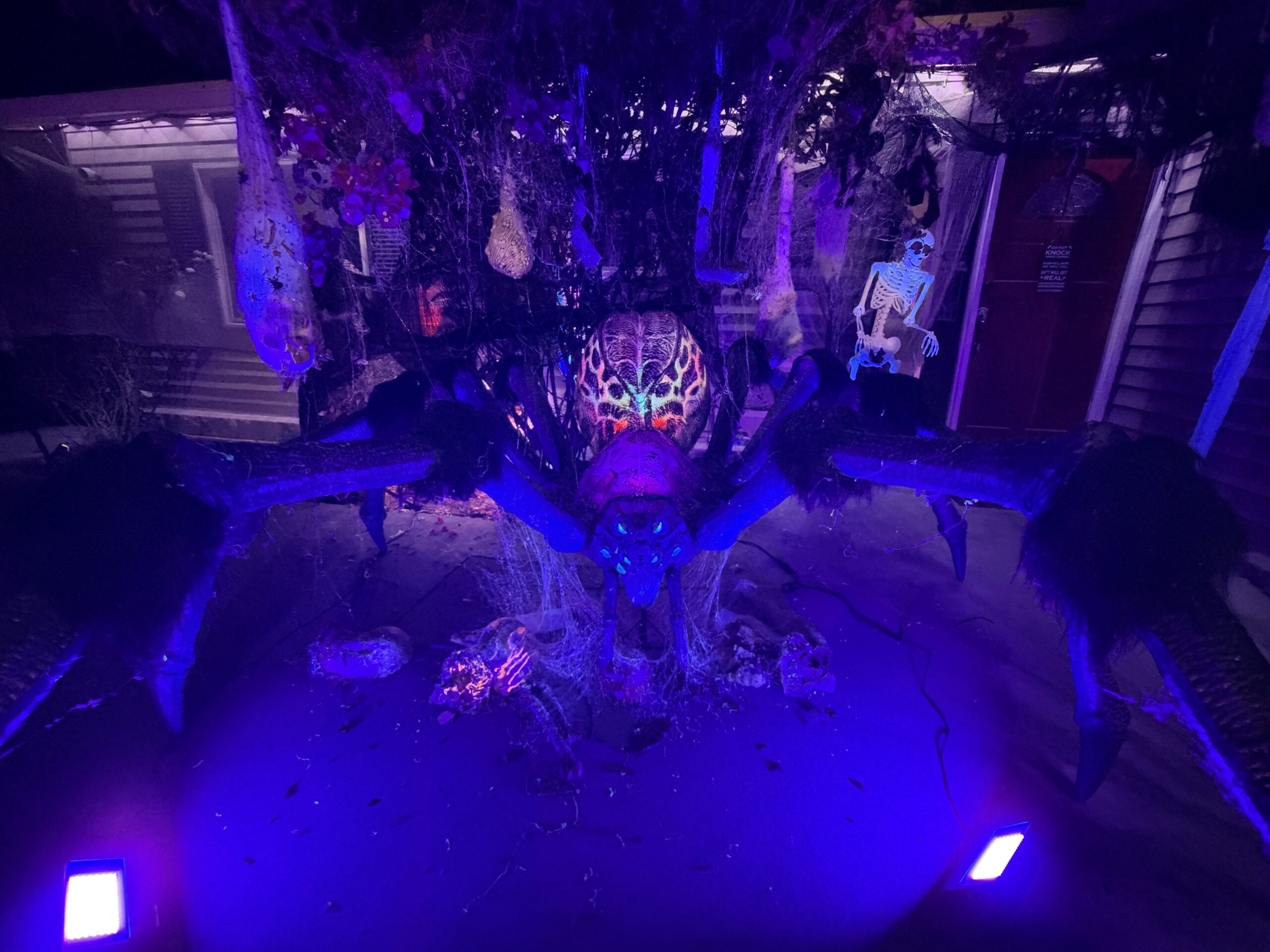 A giant spider surrounded by webs and hanging cocoons under purple lighting.